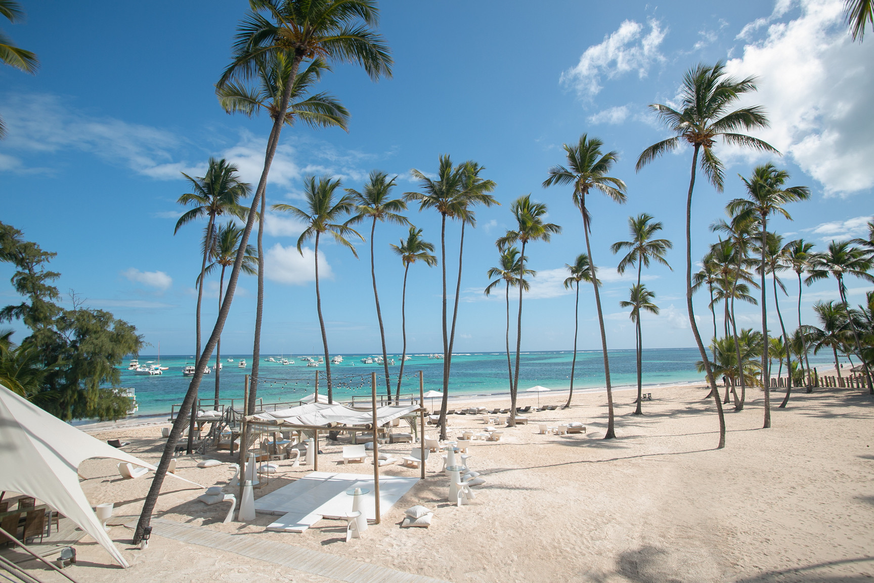 Jellyfish Beach Restaurant — Restaurants in Dominican Republic