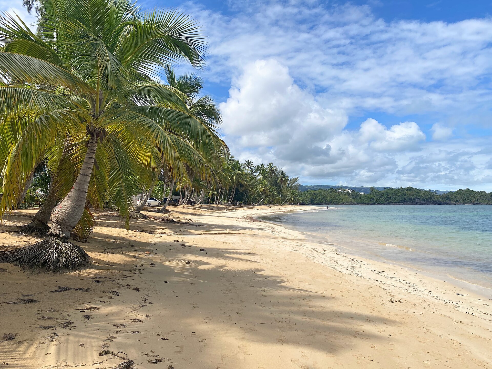 Playa Las Ballenas — Beaches in Dominican Republic