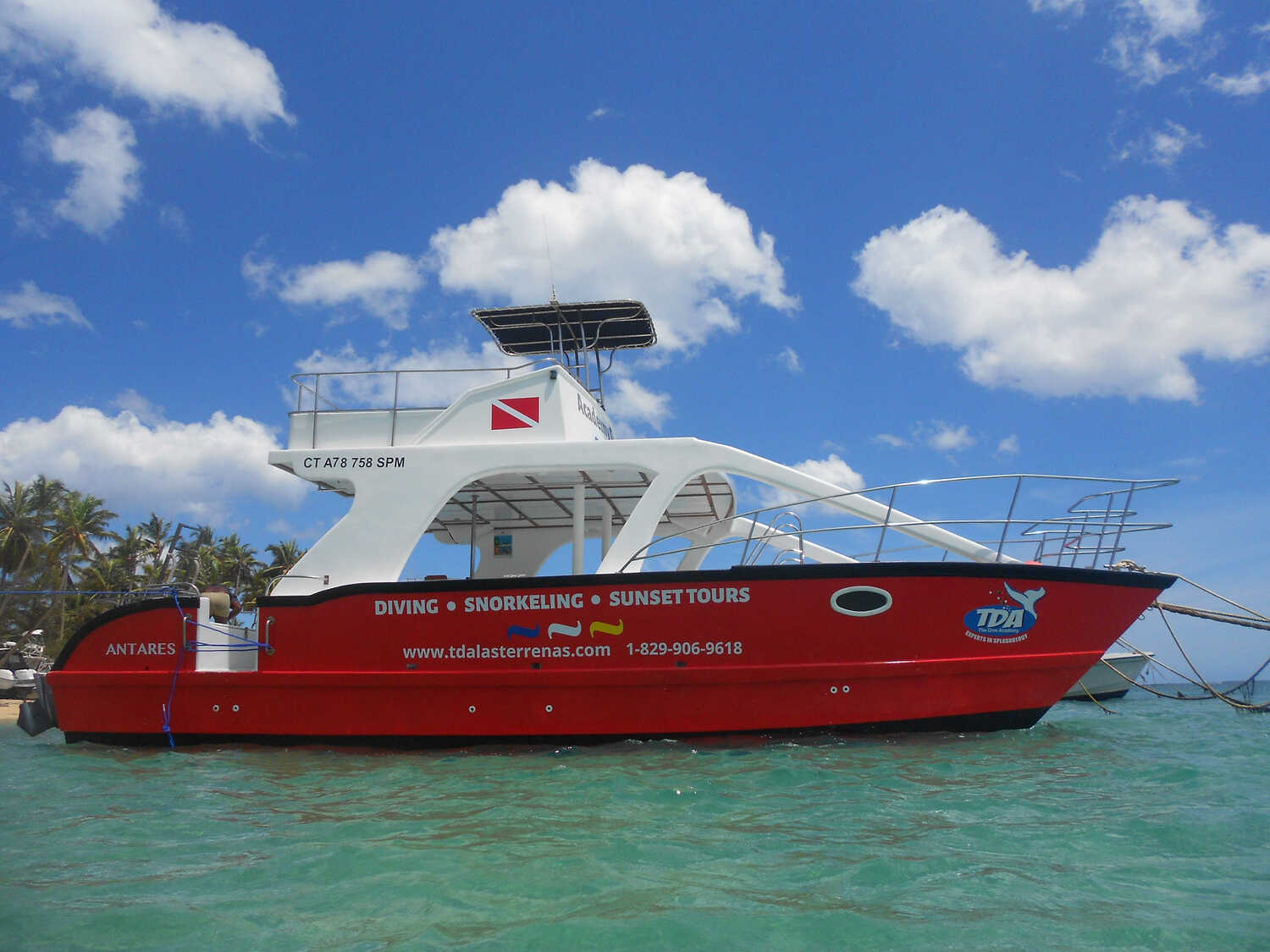 Private boat charter, The Dive Academy — Excursions in Dominican Republic
