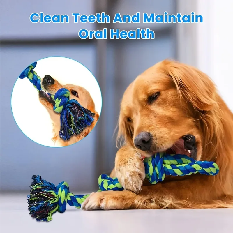 Medium and Large Dog Dog Toys - image 3