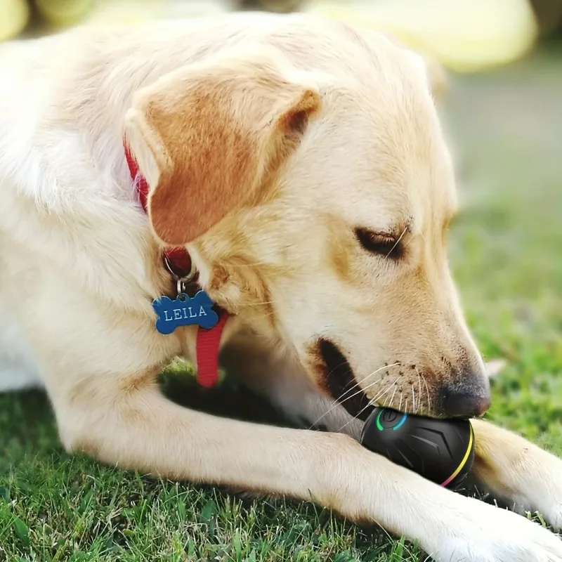 Intelligent Teasing Dog Ball - image 2
