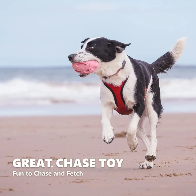 Squeaky Dog Toys for Aggressive Chewers - image 3