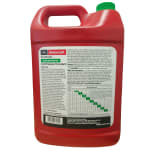 Motorcraft Premium Antifreeze
