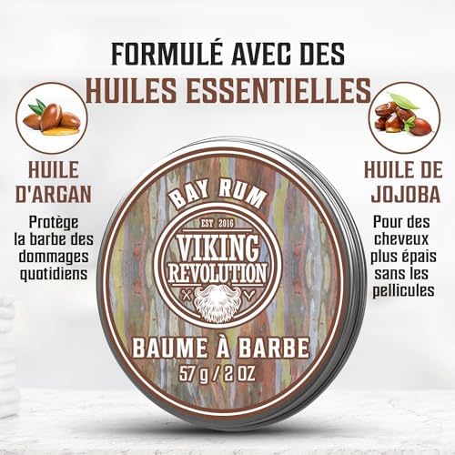 Vue 3 de Viking Revolution Baume