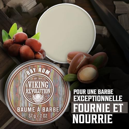 Vue 6 de Viking Revolution Baume