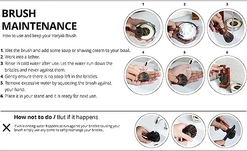 Vue 5 de Noir Pur Poils De