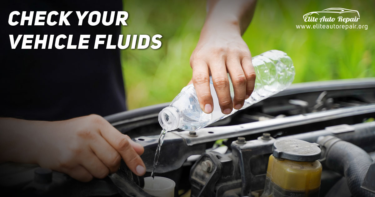 Check Your Vehicle Fluids