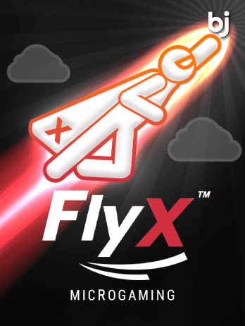 Fly x
