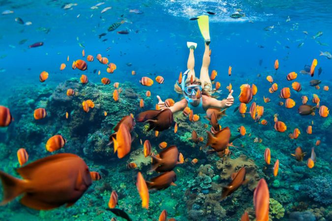 Picture shows a woman snorkeling in the Maldives. She is surrounded by bright orange fish in clear blue water.