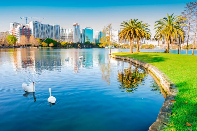 Picture shows a sunny day in downtown Orlando, Florida. Two swans enjoy the warmth.