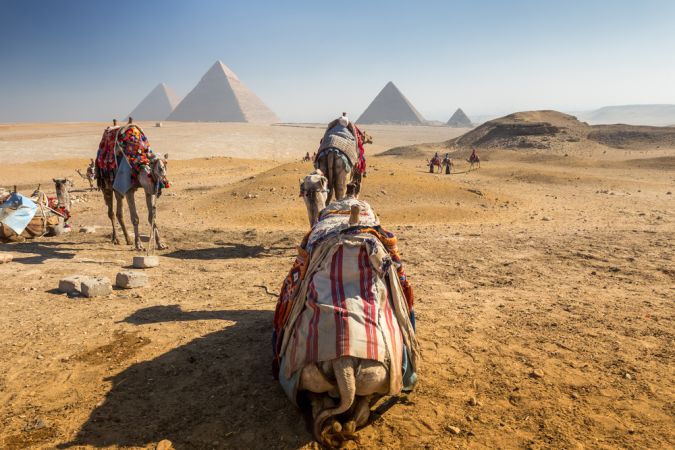 Picture shows a group of tourists and camels approaching the Great Pyramids of Giza in Egypt.