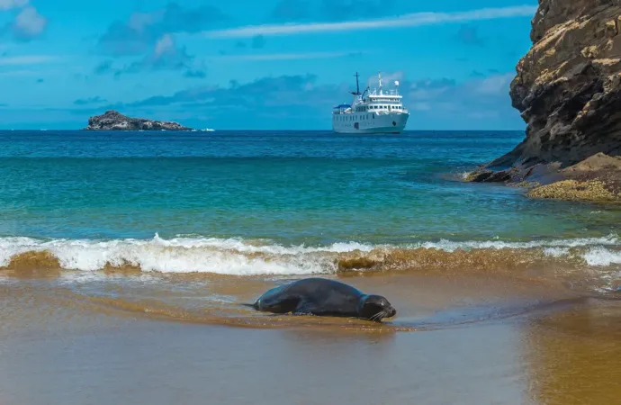 The Galapagos islands.