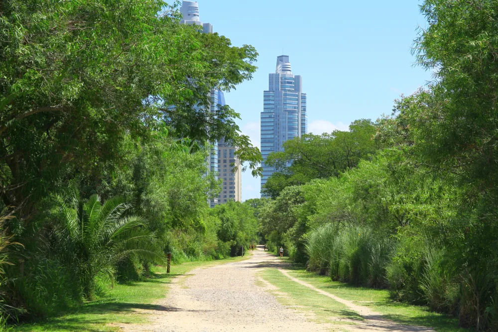 Lush green park with a tree-lined walking path leading towards modern skyscrapers, showcasing the blend of nature and city life.