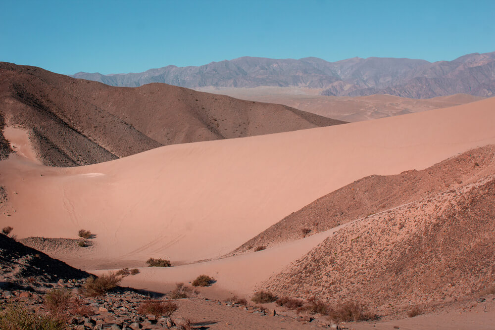 The view from one of Argenina's many dunes. The country is home to the tallest dune in the world.