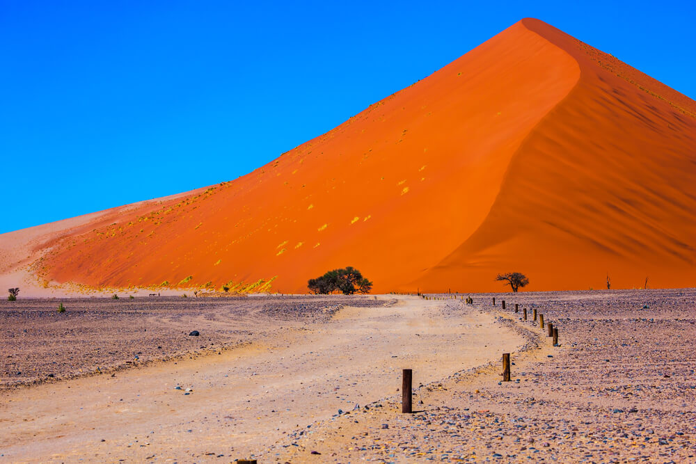 The vibrant red dunes of Sossusvlei in Namibia are awe inspiring. 