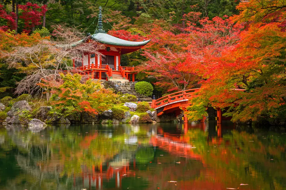 A beautiful garden in Japan.