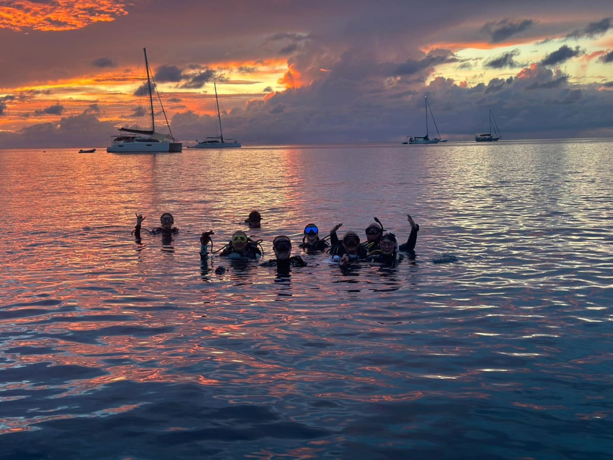 Scuba Life's Story — Scuba Life dive training in Southern California