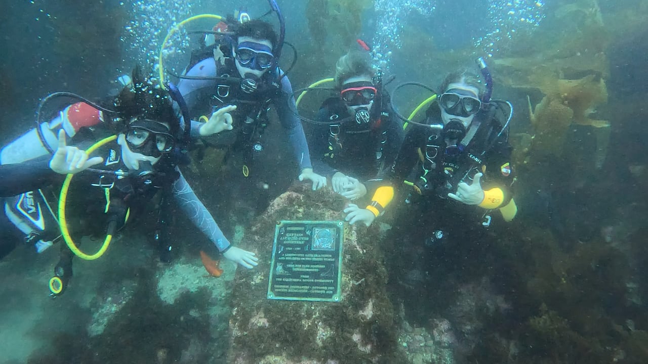 Open Water Diver