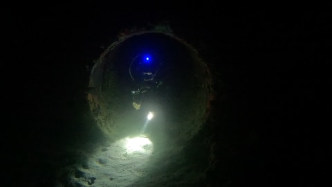 Night Diver Specialty