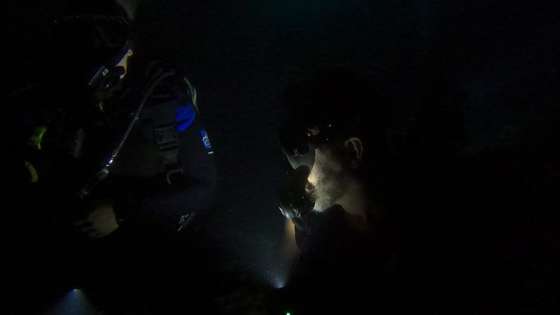 Scuba Life diving gallery — Southern California training and ocean dives (22)