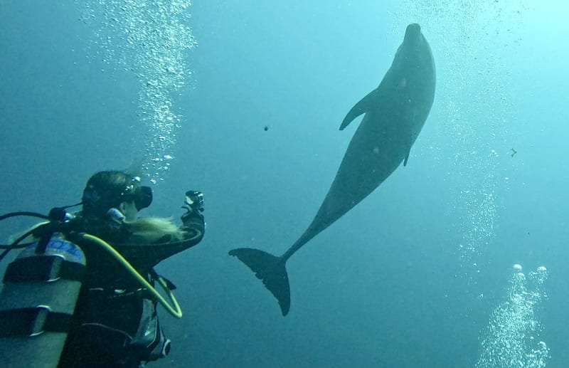Scuba Life diving gallery — Southern California training and ocean dives (7)