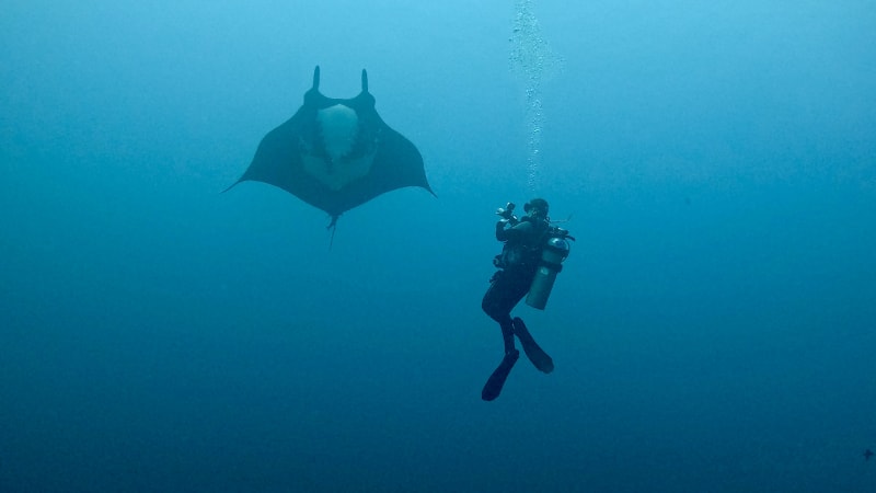 Scuba Life diving gallery — Southern California training and ocean dives (10)