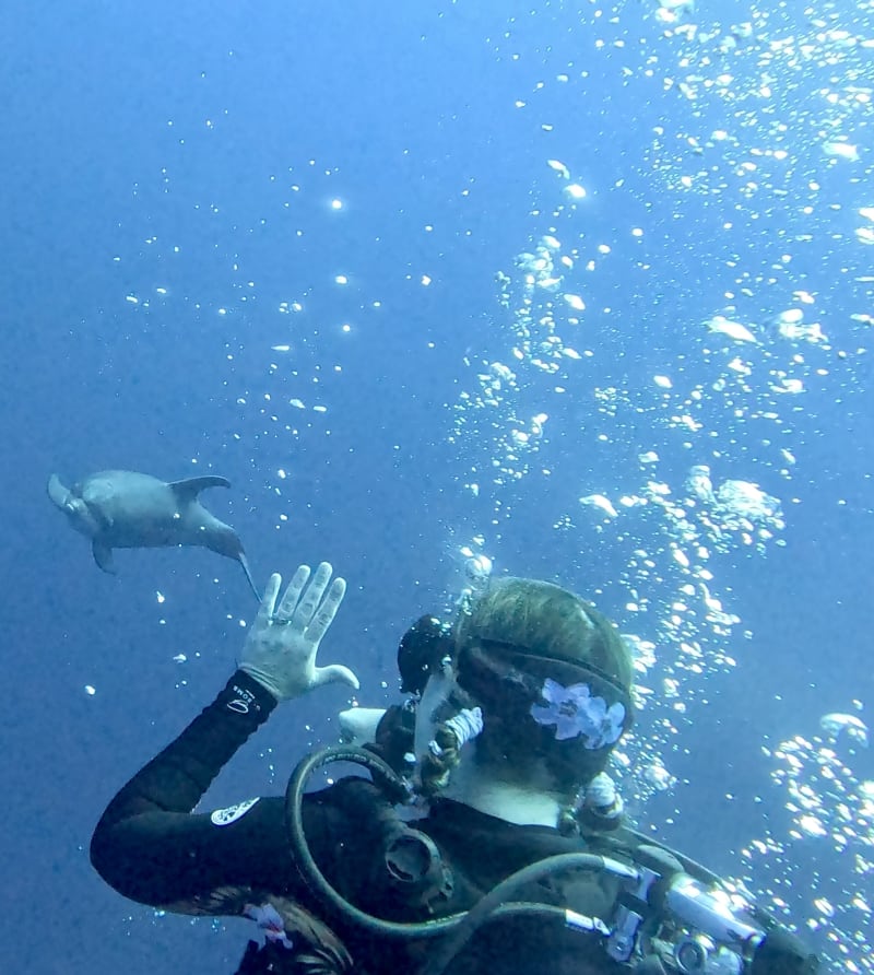 Scuba Life diving gallery — Southern California training and ocean dives (9)