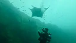 Scuba Life diving gallery — Southern California training and ocean dives (12)