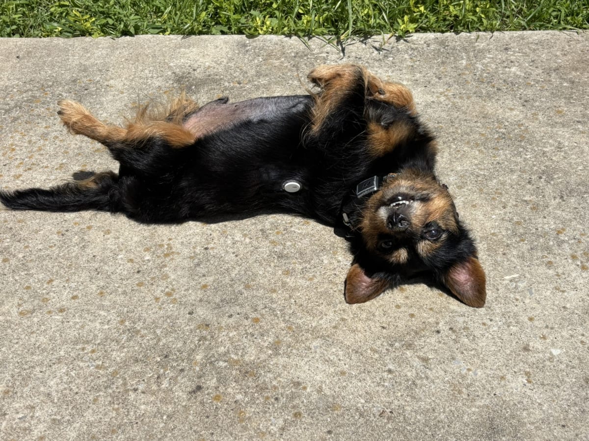 Loving the sunshine