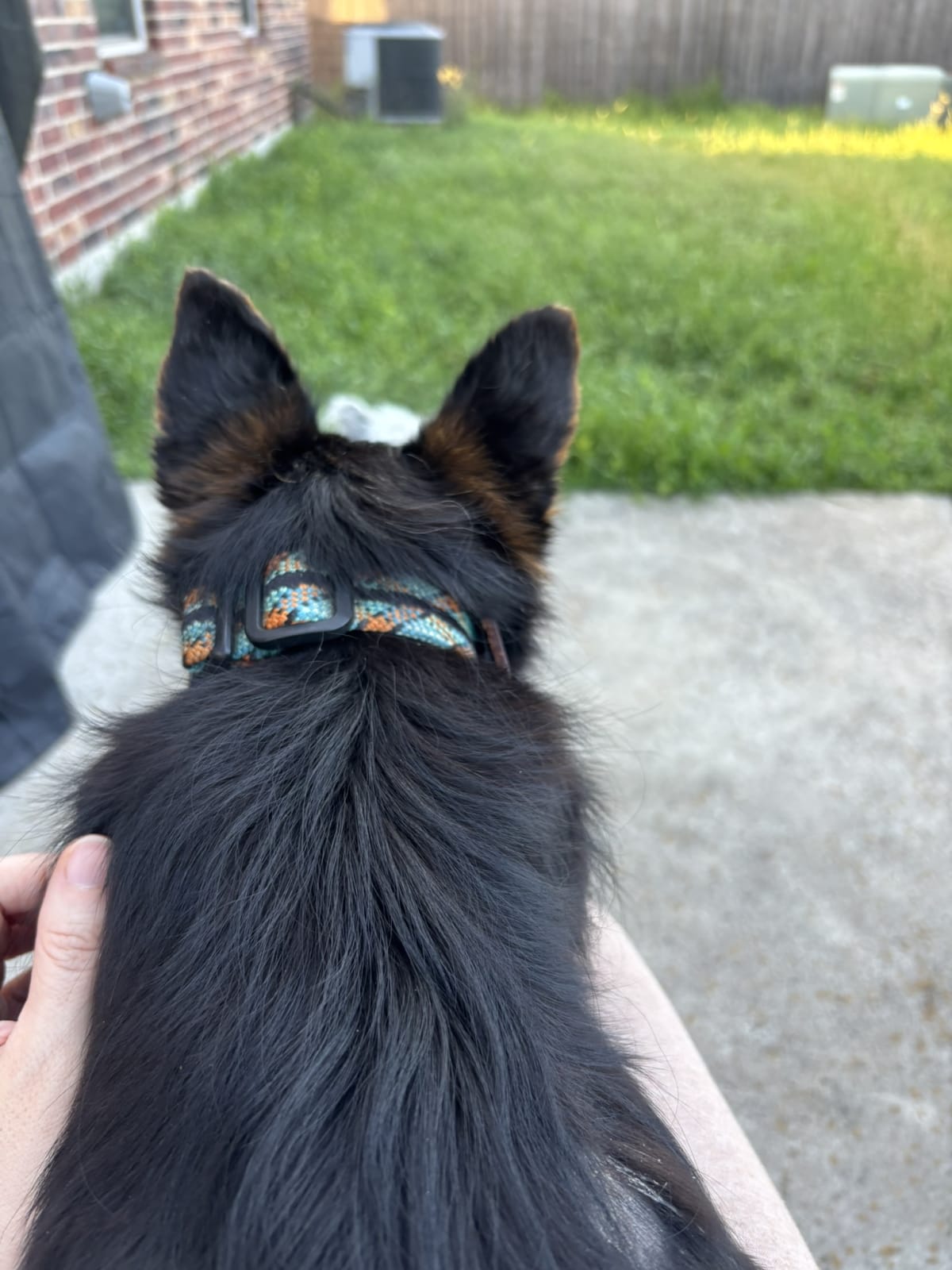 Chilling with mommy outside. One of our favorite activities.