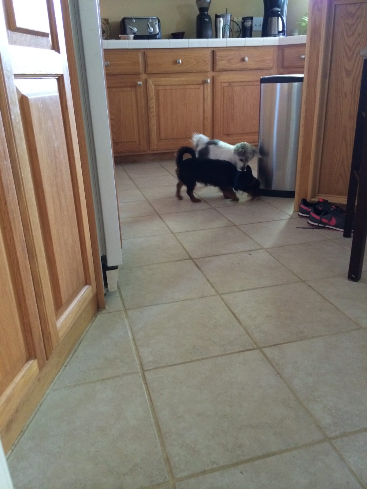 Getting to know new sister on my gotcha day!