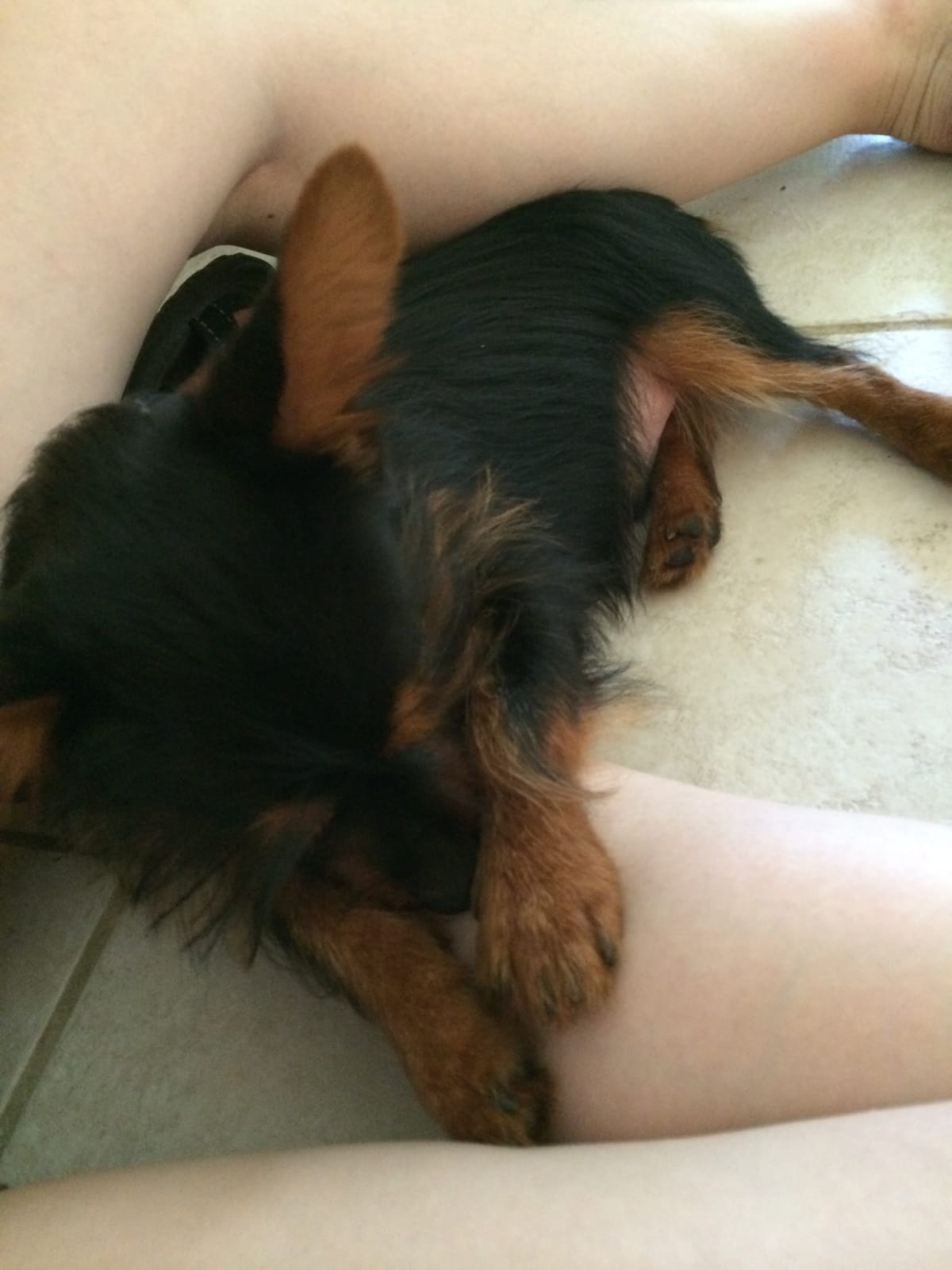 Snuggling my new mommy on my gotcha day