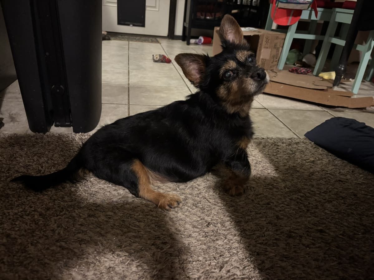 Looking into mommy's soul