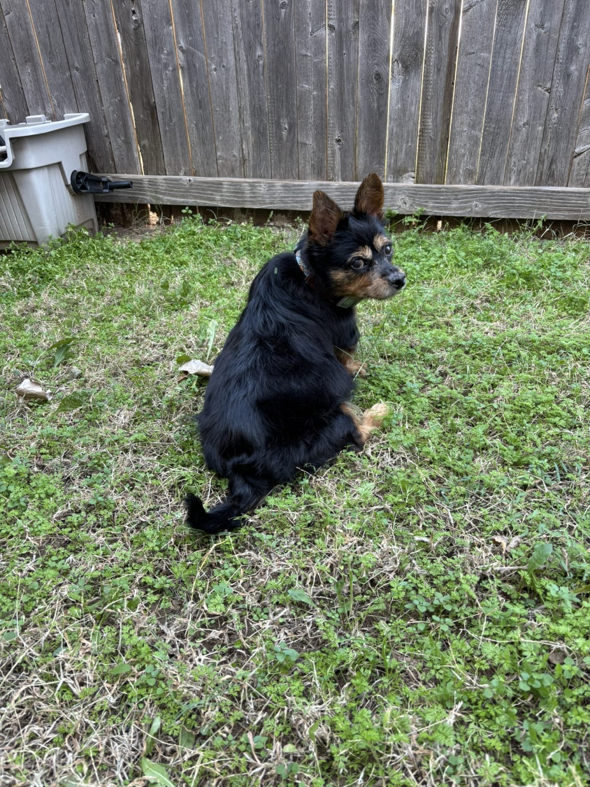 Exploring outside with mommy