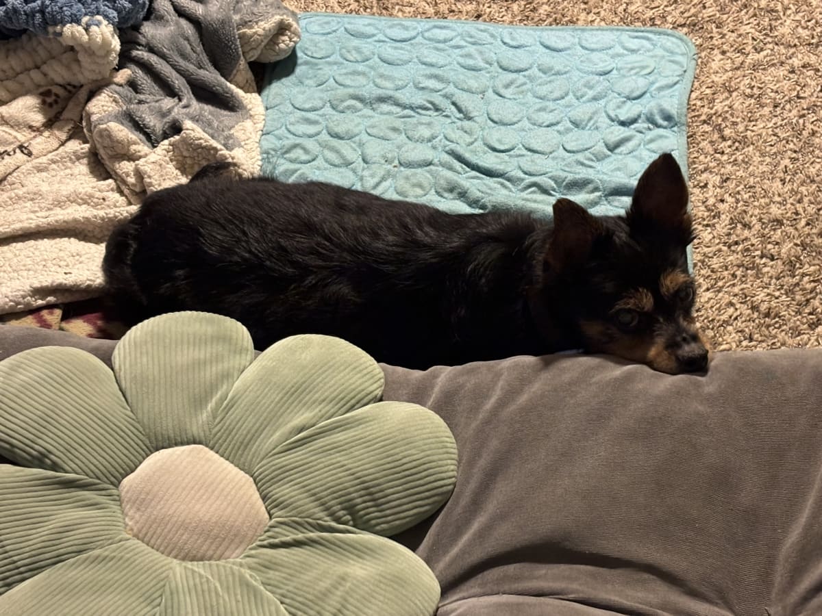 Keeping an eye on mommy