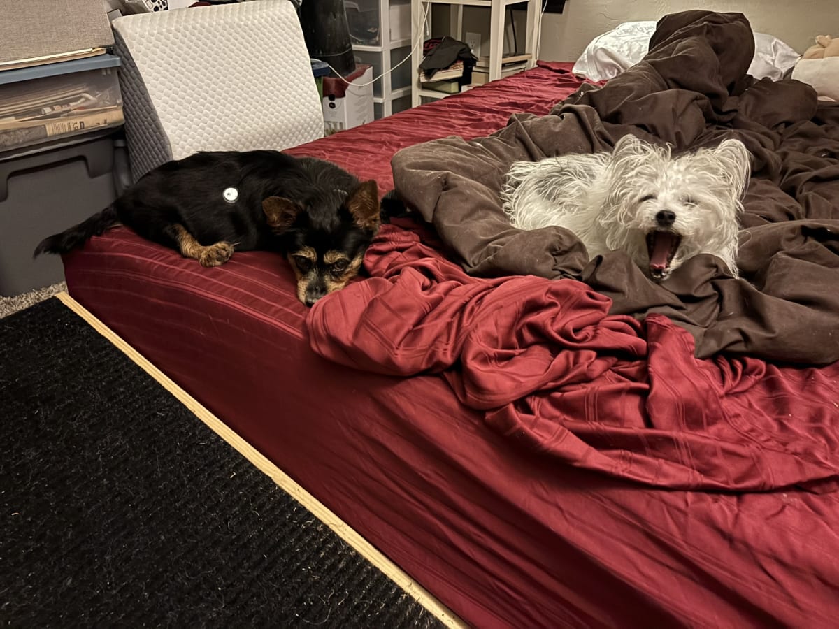 Waiting for momma to get ready for bed!