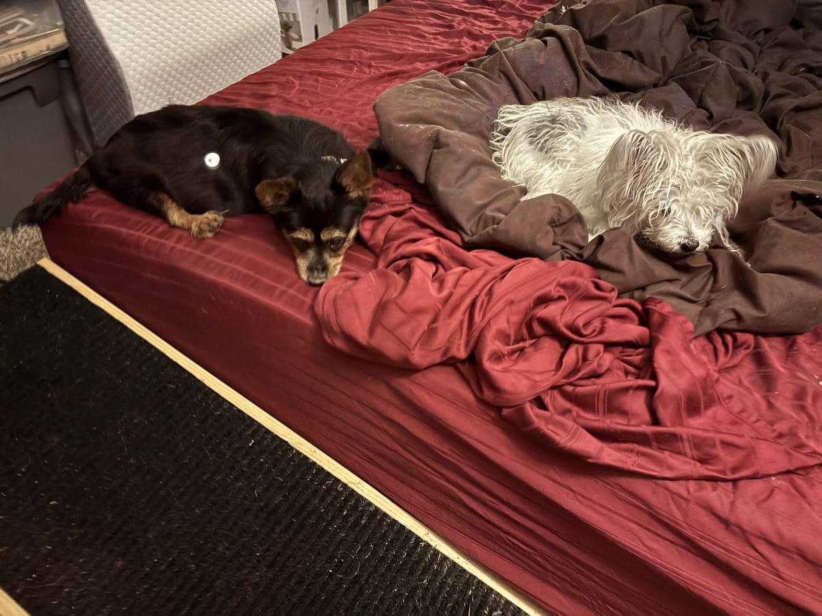 Waiting for mommy to finish getting ready for bed!