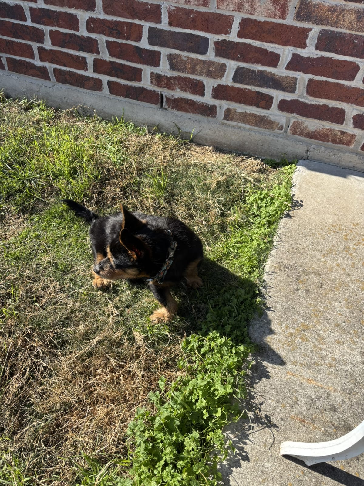 Soaking up the sunshine!