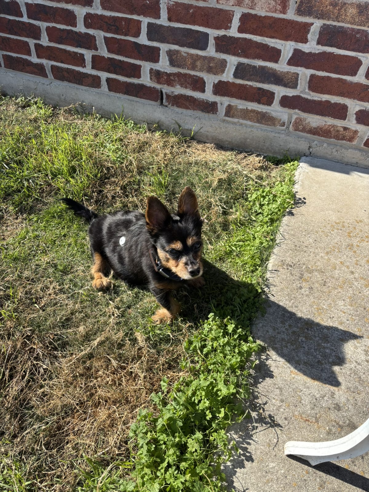 Soaking up the sunshine!