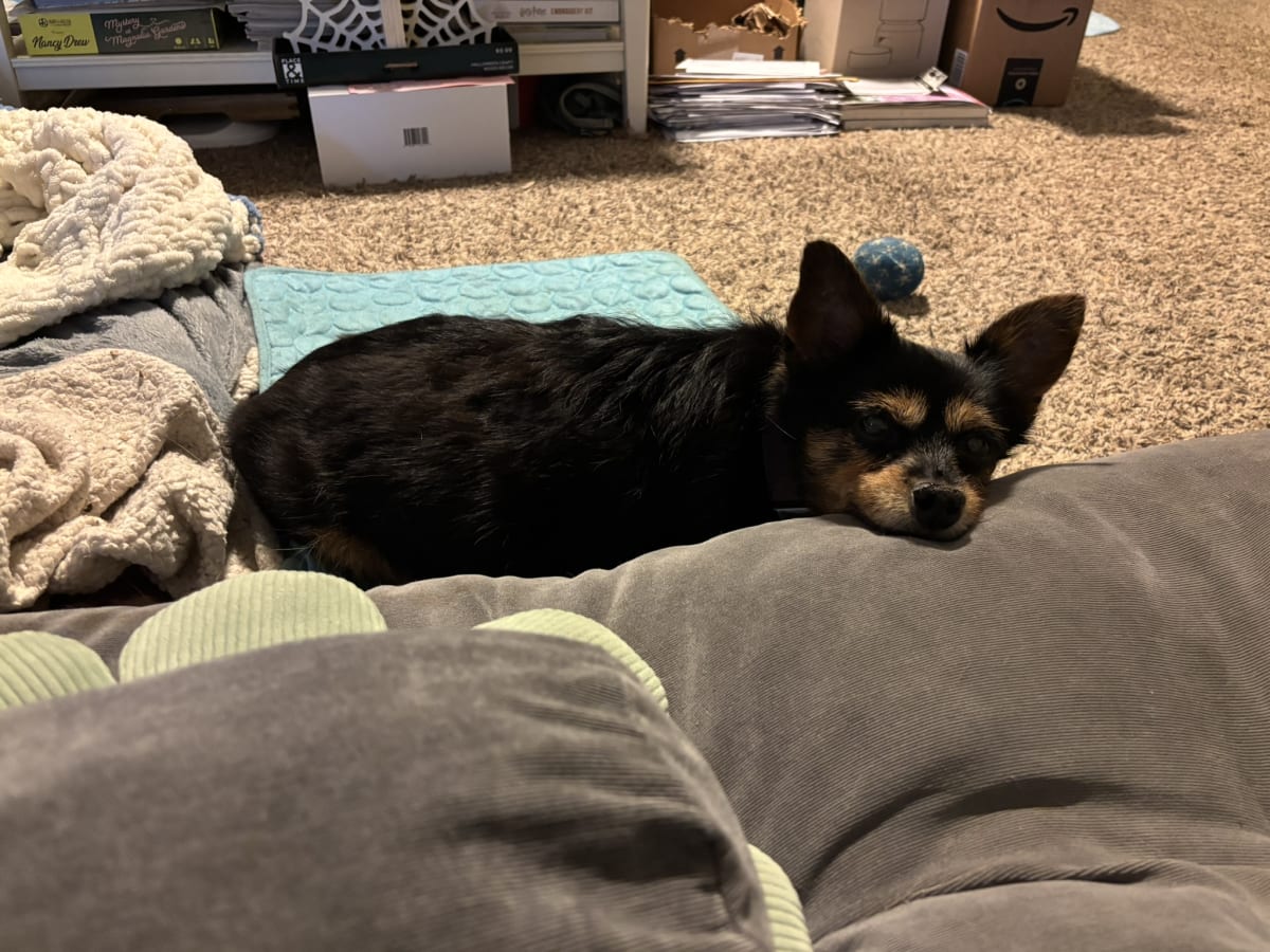 Keeping a close eye on momma in case she heads towards the treats