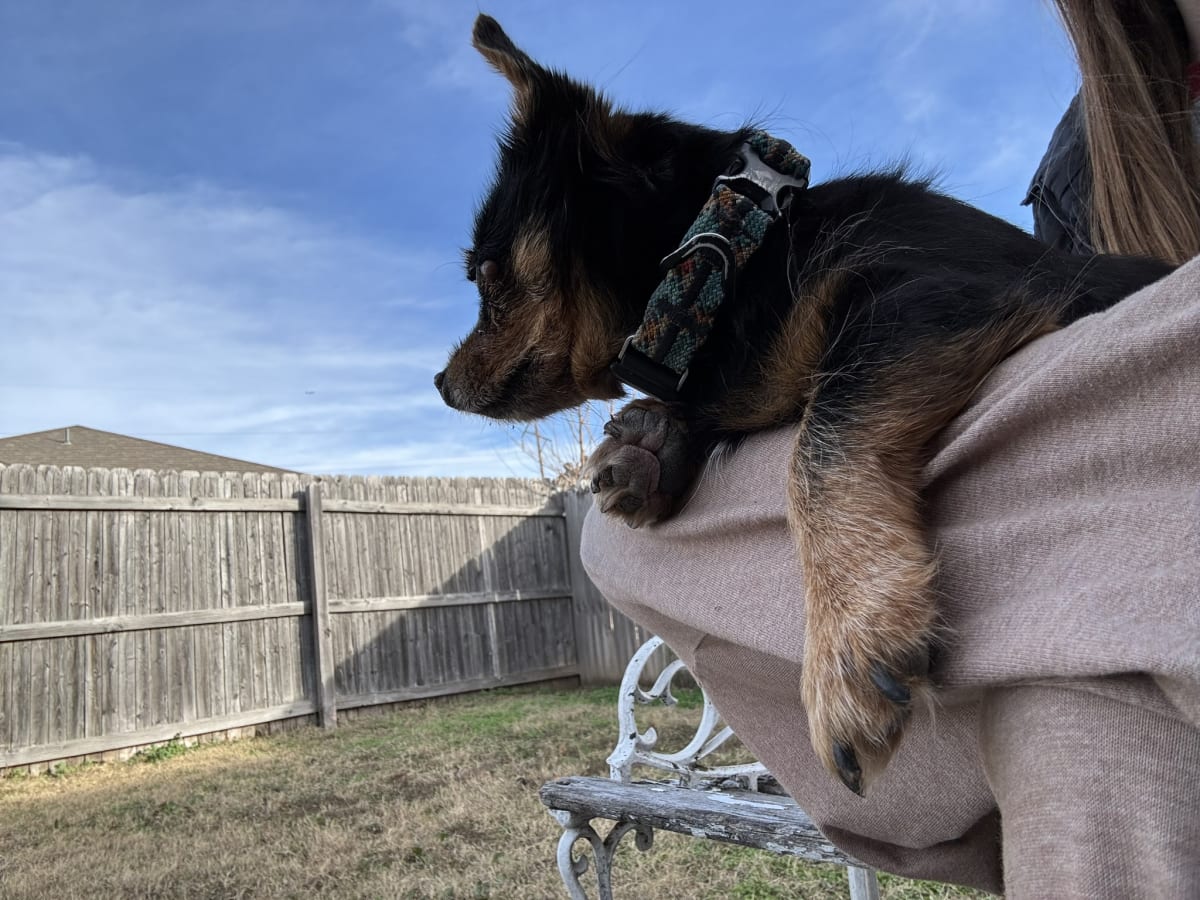 Mom and I love to sit outside monitoring our backyard