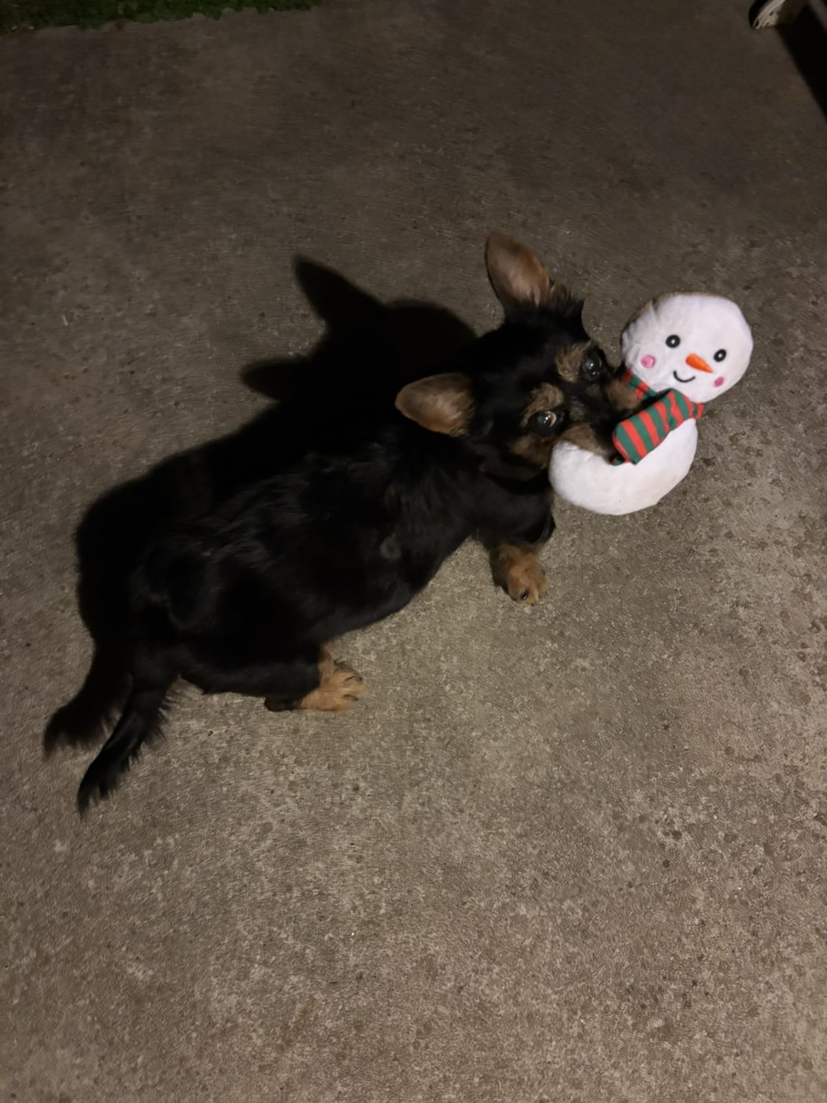 Loving my latest toy!