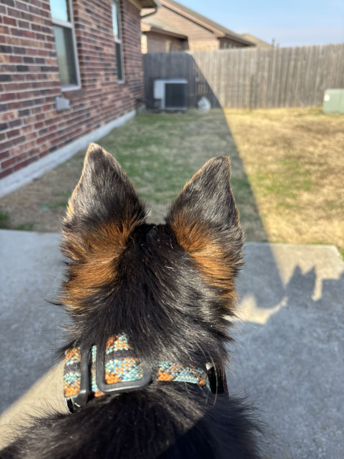 Watching over my territory with mommy