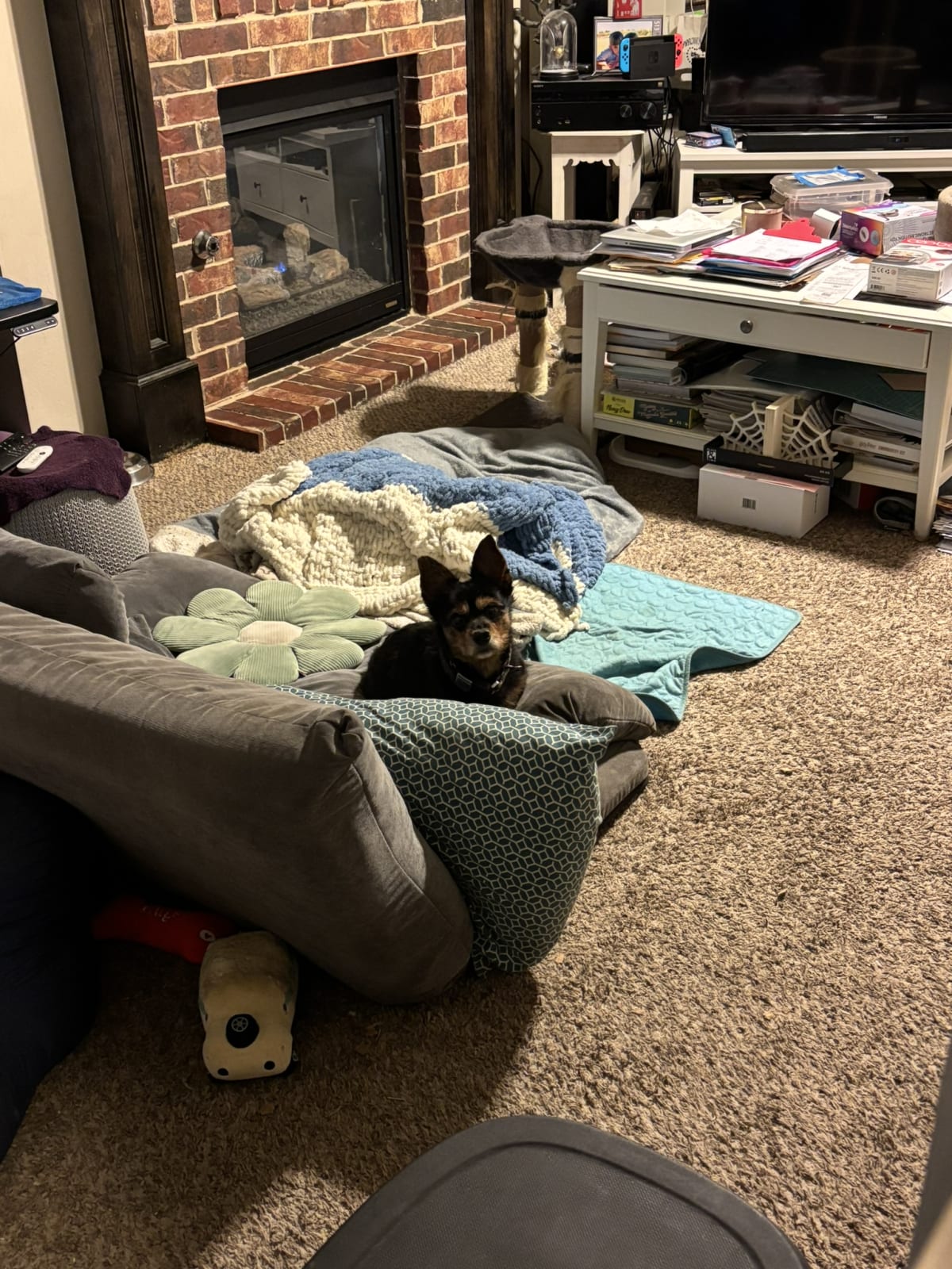 Keeping an eye on momma always