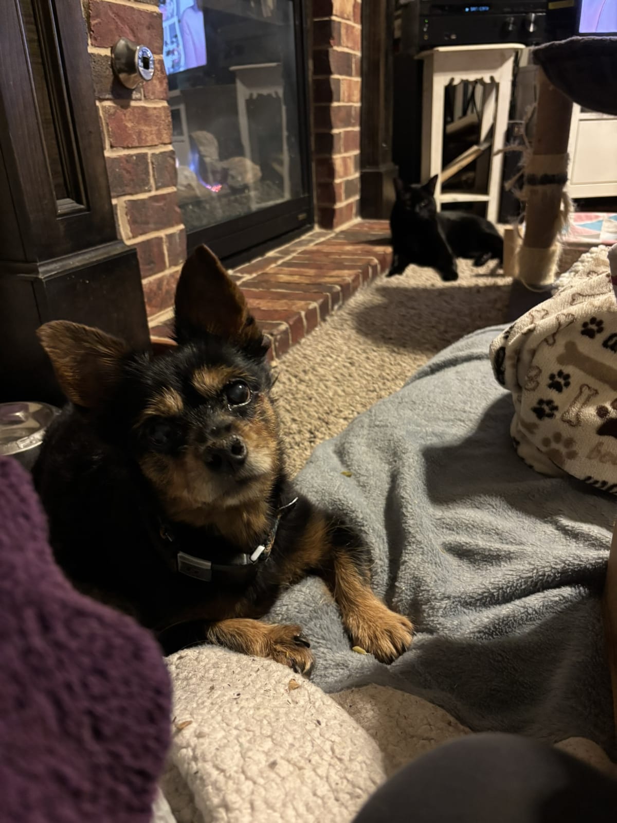 Looking so adorable while momma feeds me grean beans