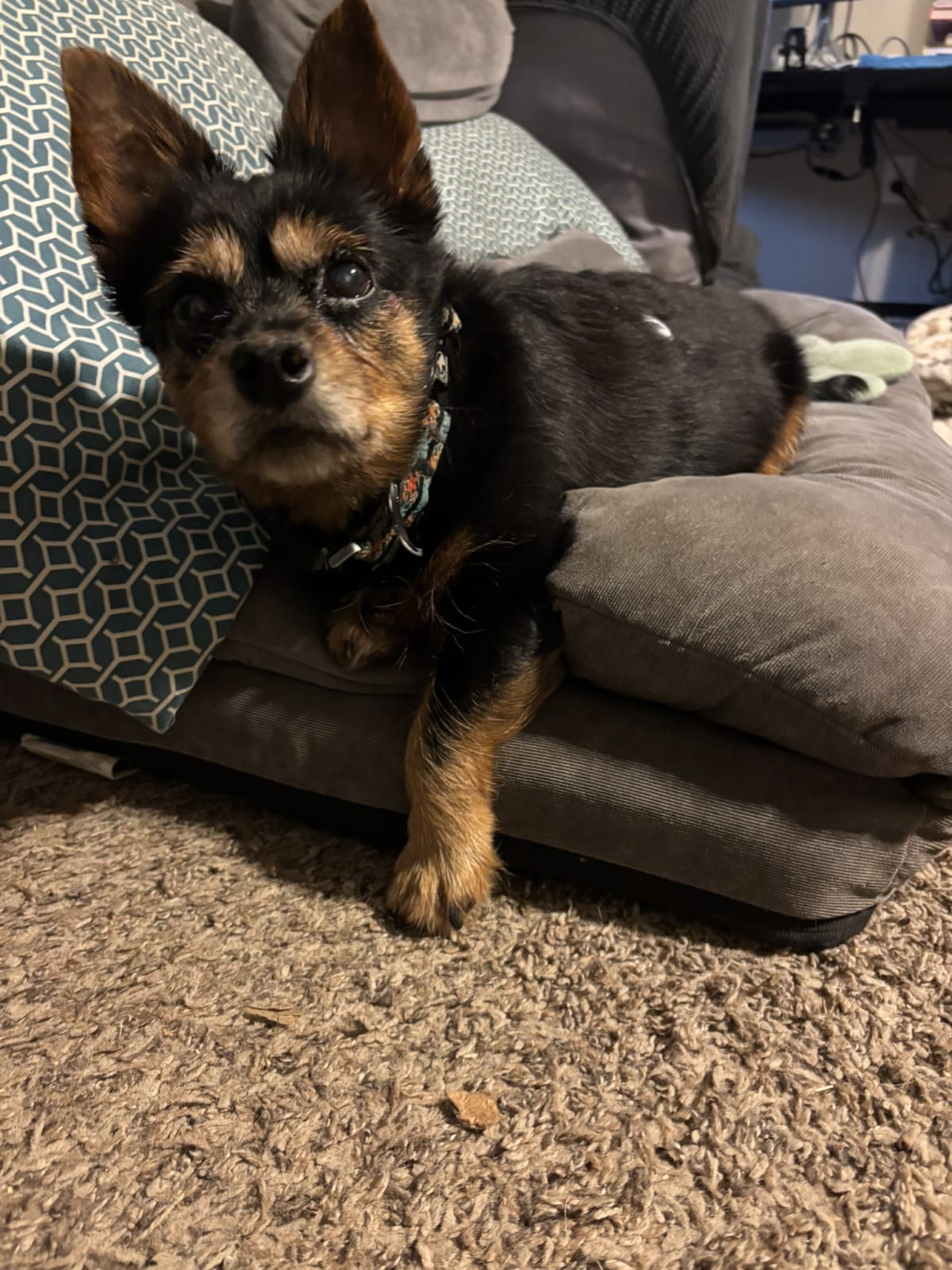 Keeping a very close eye on momma always