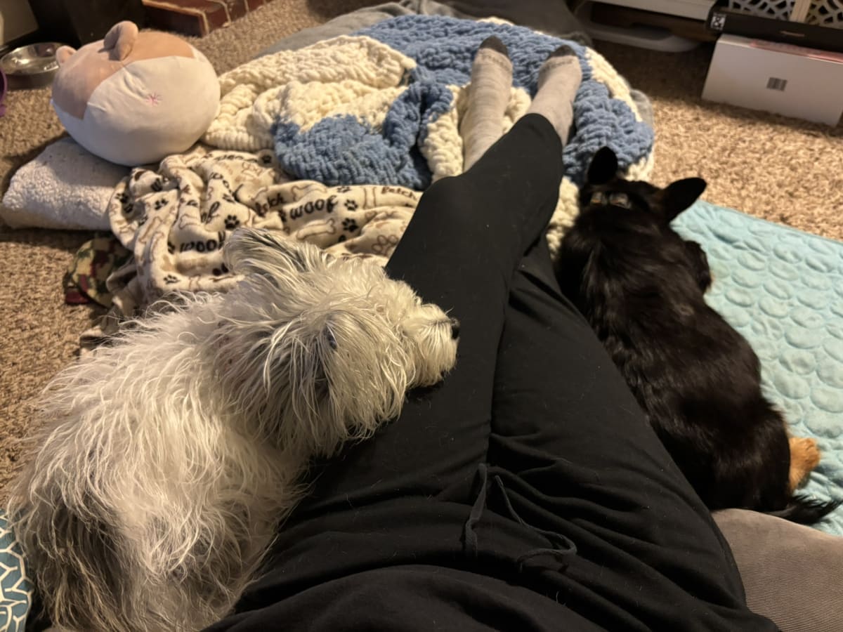 One of my favorite resting spots right up against momma's leg