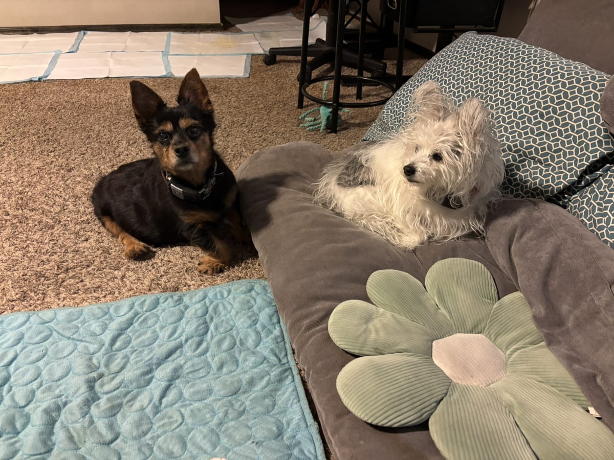 Telling mommy that sister is in the spot I want
