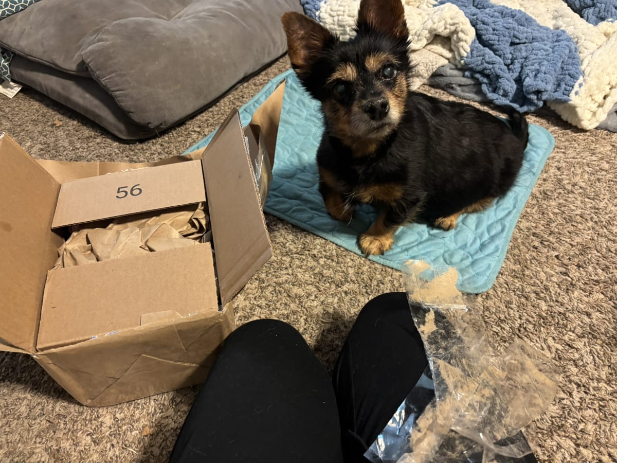 Supervising package opening since everything that we get should be for me