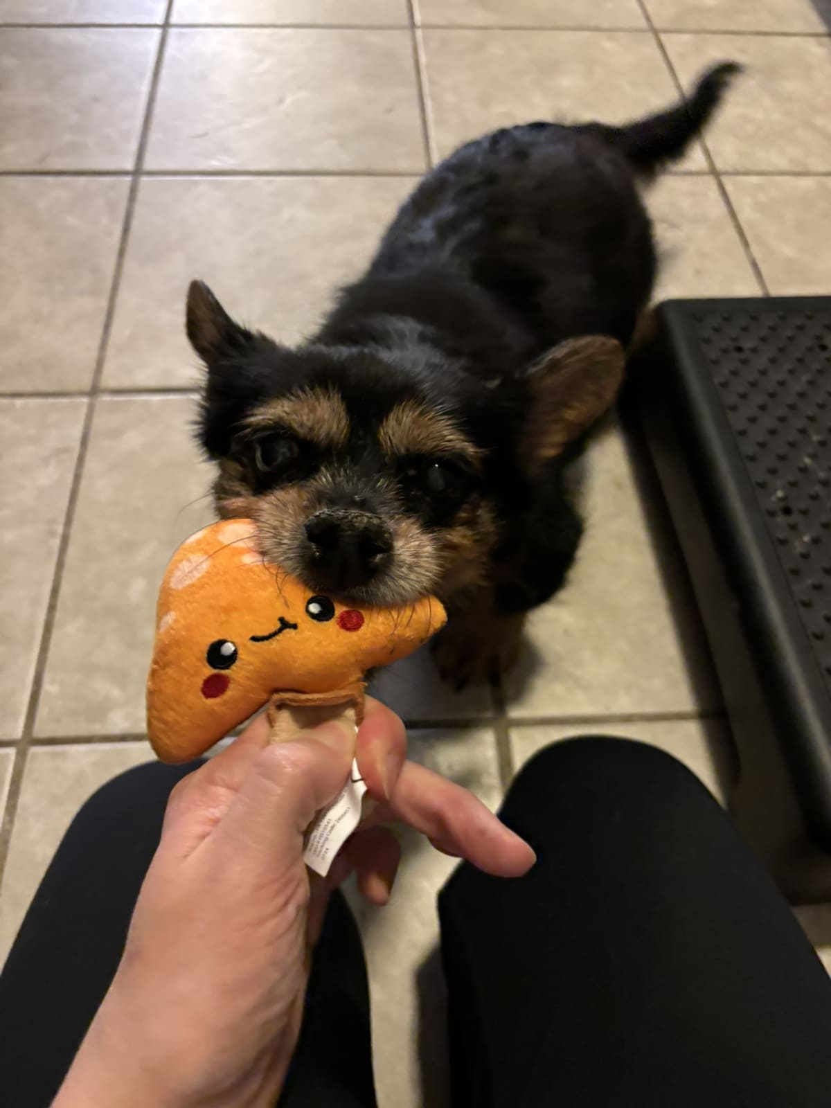 Playing tug of war with mommy!